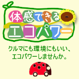 エンジン内部を洗浄します！燃費にいい、車にいい、エコパワーをご利用ください。