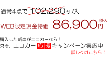 �f���|���K���X�n�t�b�f�n�C�p�[�R�[�g�v���I�K���X�R�[�e�B���O